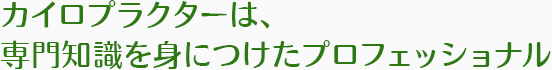 カイロプラクターは、専門知識を身につけたプロフェッショナル